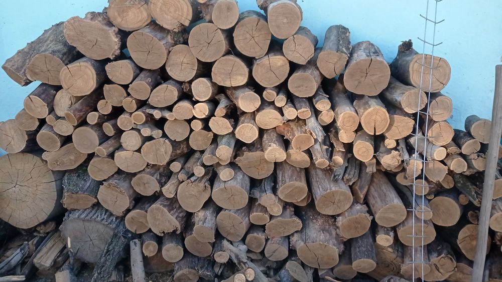 Дрова карагач сухой