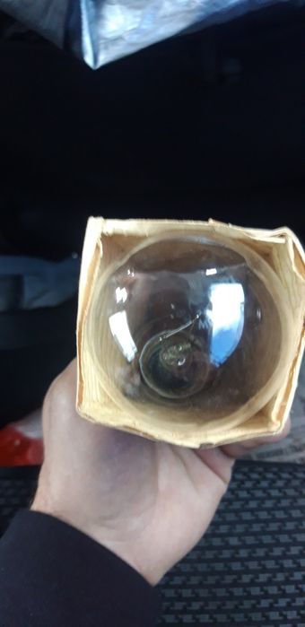 Лампочки 12 и 36  вольт