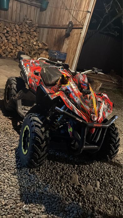 Can am renegade
