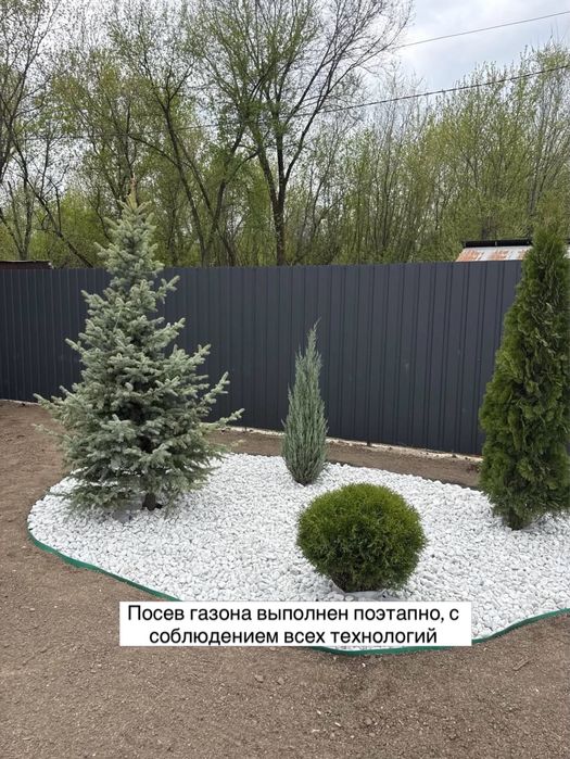 Рулонный газон под ключ
