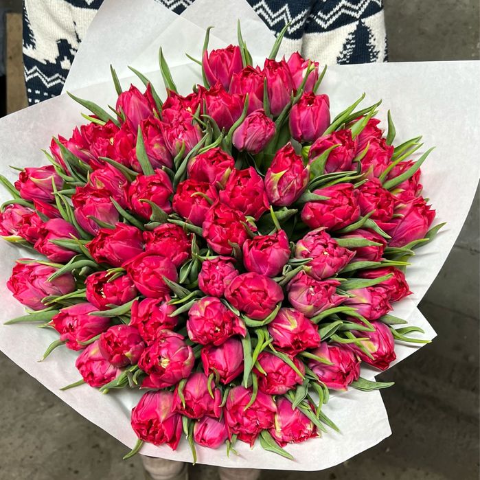 Тюльпаны оптом более 25 видов