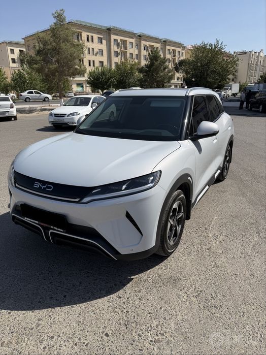 BYD Yuan Up 401km Flagship