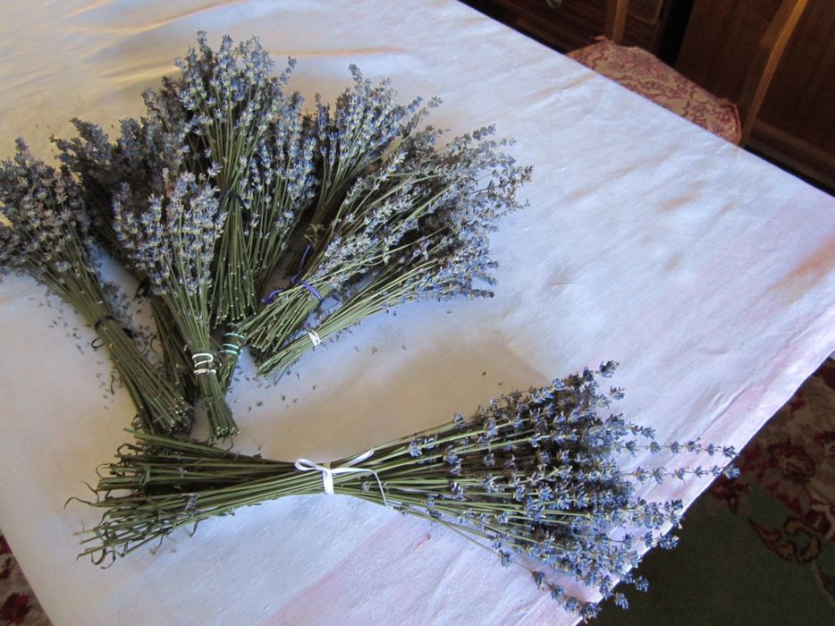 Costum dama pentru vara, imprimeu floral + bonus x 2