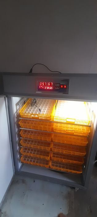 Yangi Inkubator sotiladi 1056 ta tovuq tuxumi ketadi