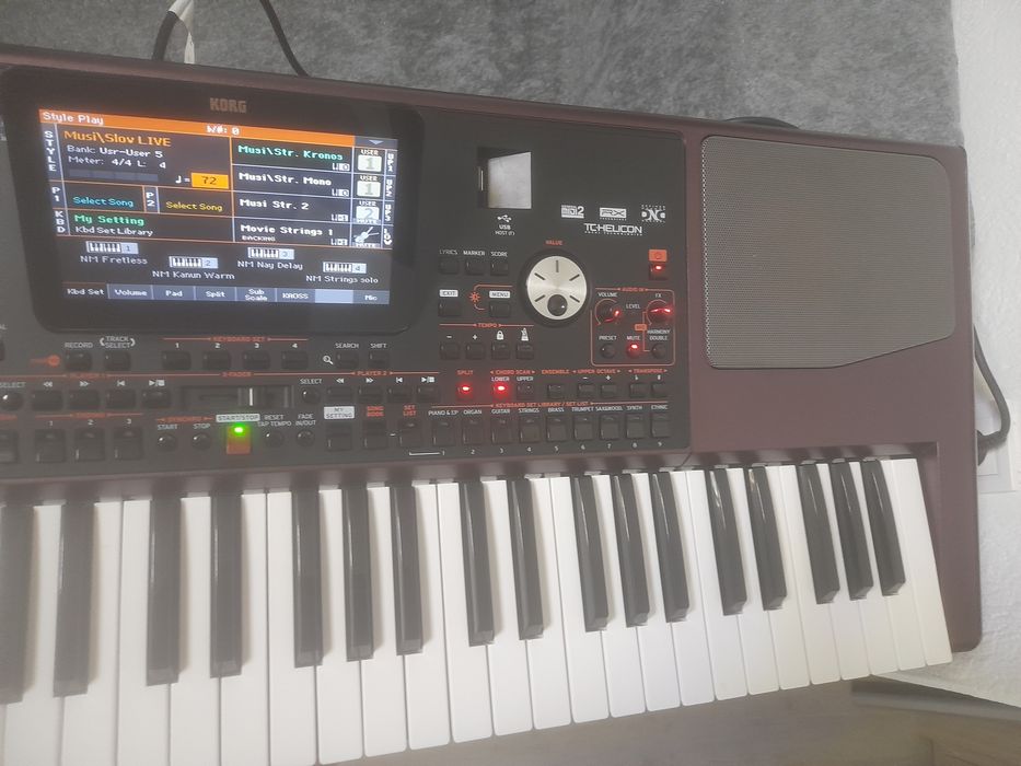 Корг 1000 професионал
