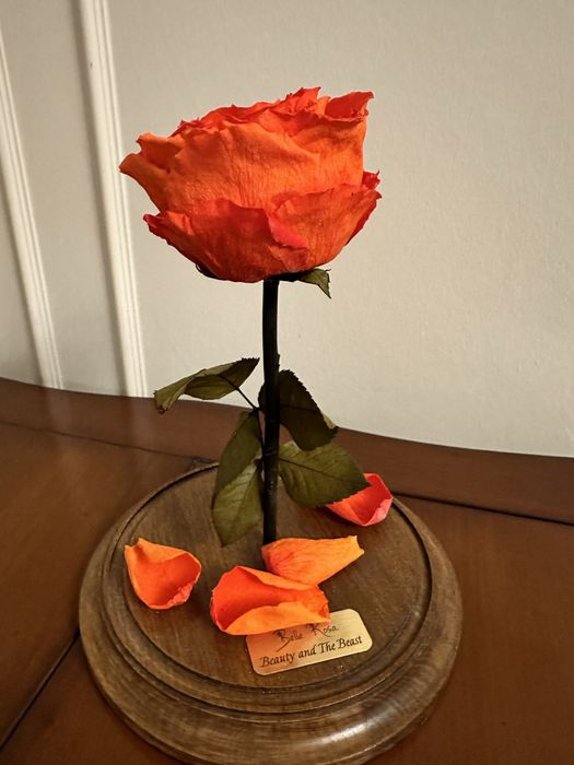 Декортивный цветок