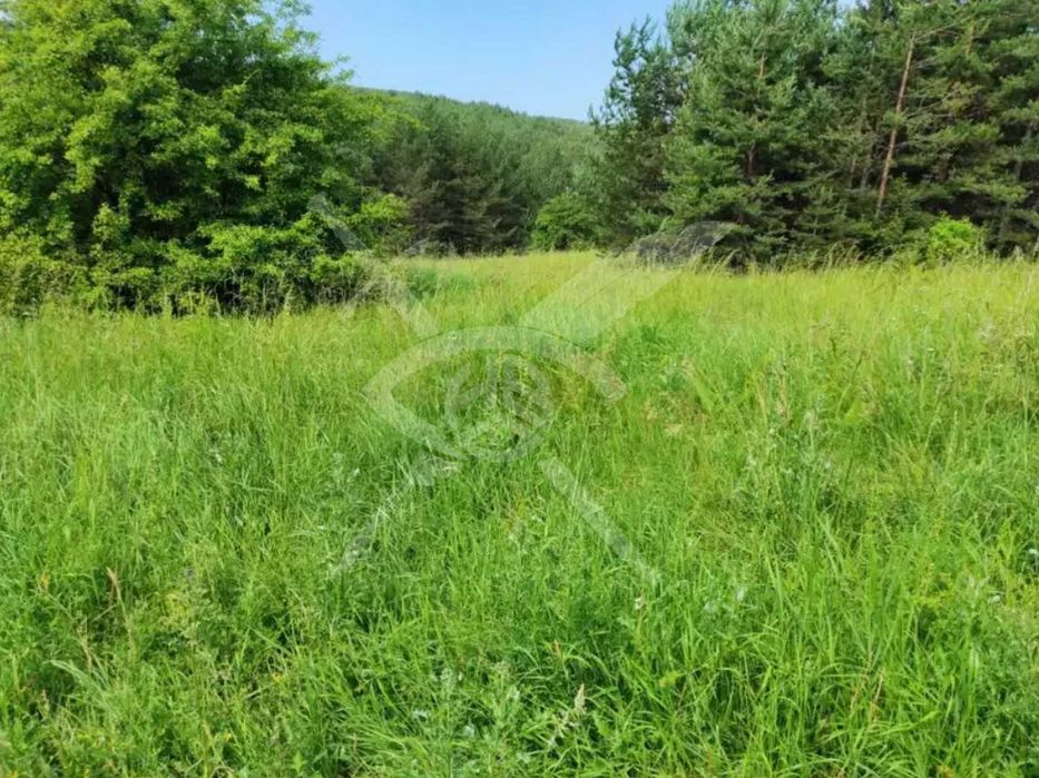 Продава се Парцел в с. Плана, Област София-град - 1499 кв.м за 32 €/кв.м - Снимка #3