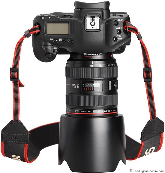 Canon, Sigma, Yongnuo