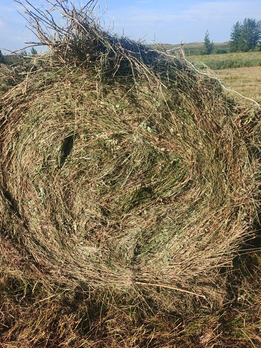 Продам сено разнатравье