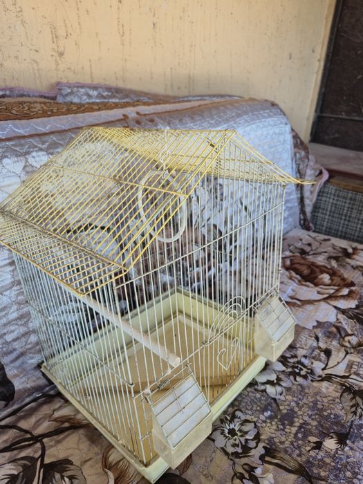Клетки для попугаев