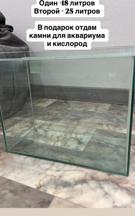 Аквариум для рыб.