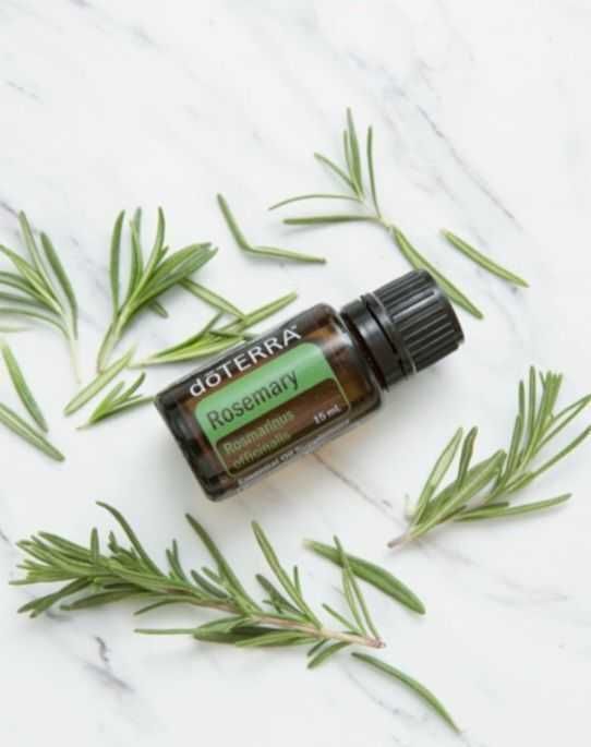 Rosemary - ulei esential de rozmarin doterra