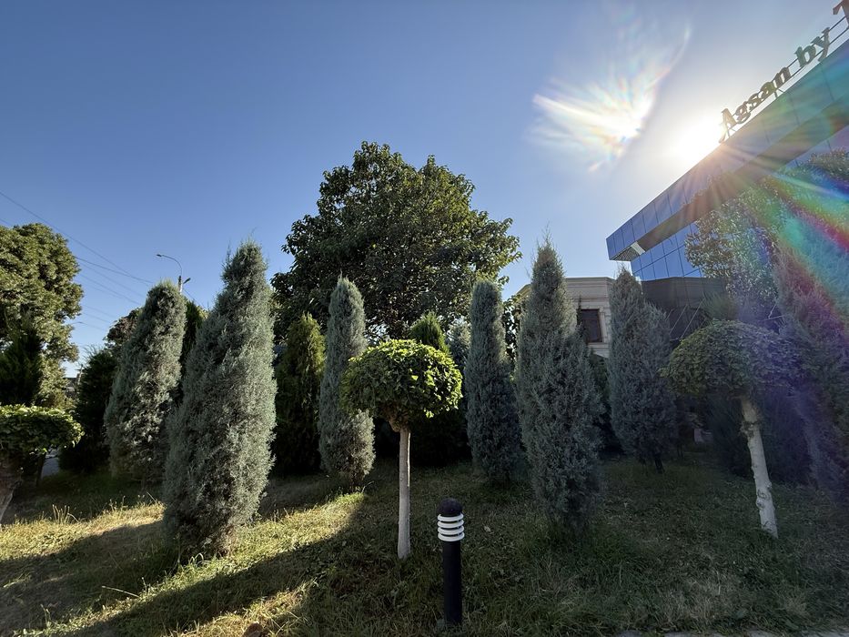 Аренда помещения 140 кв м. Первая линия, ул. Талабалар