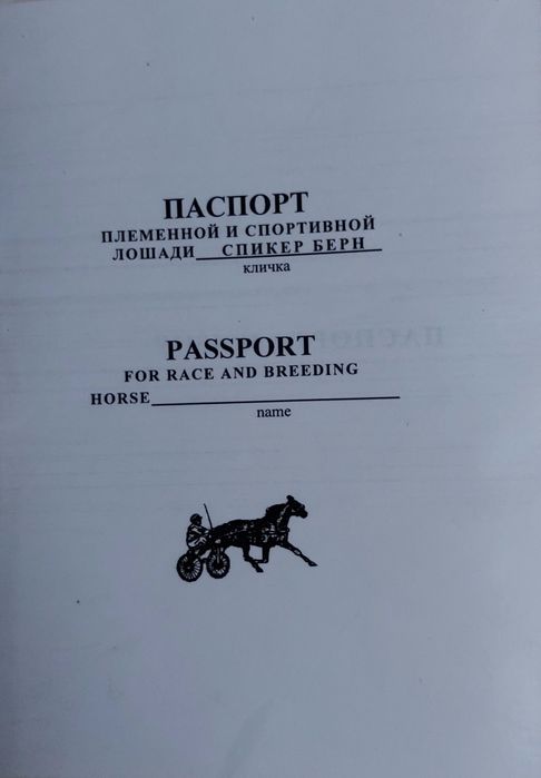 Продам жеребца иноходец