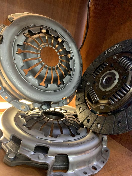 Kobalt karzina disipleniya vijivnoy