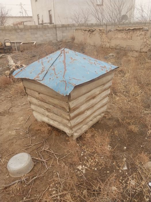 Теремок для собак