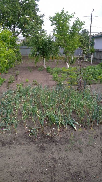 Casa în zona centrala a orașului Sulina la pret de apartament !