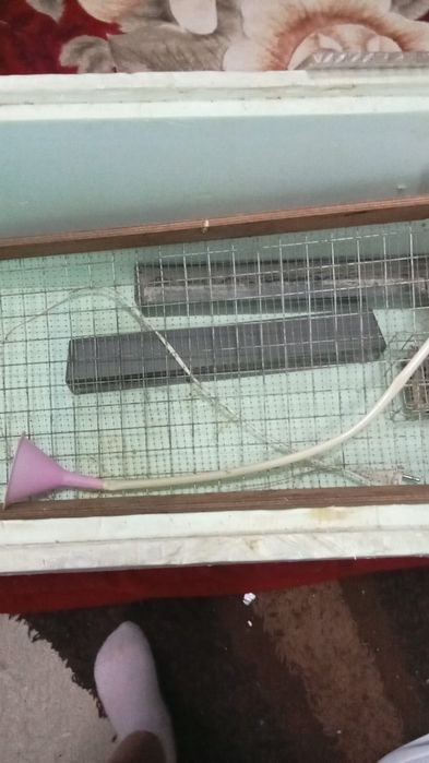 Продаётся инкубатор