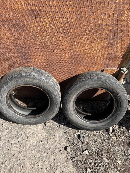 Продаммшины R14 cordiant