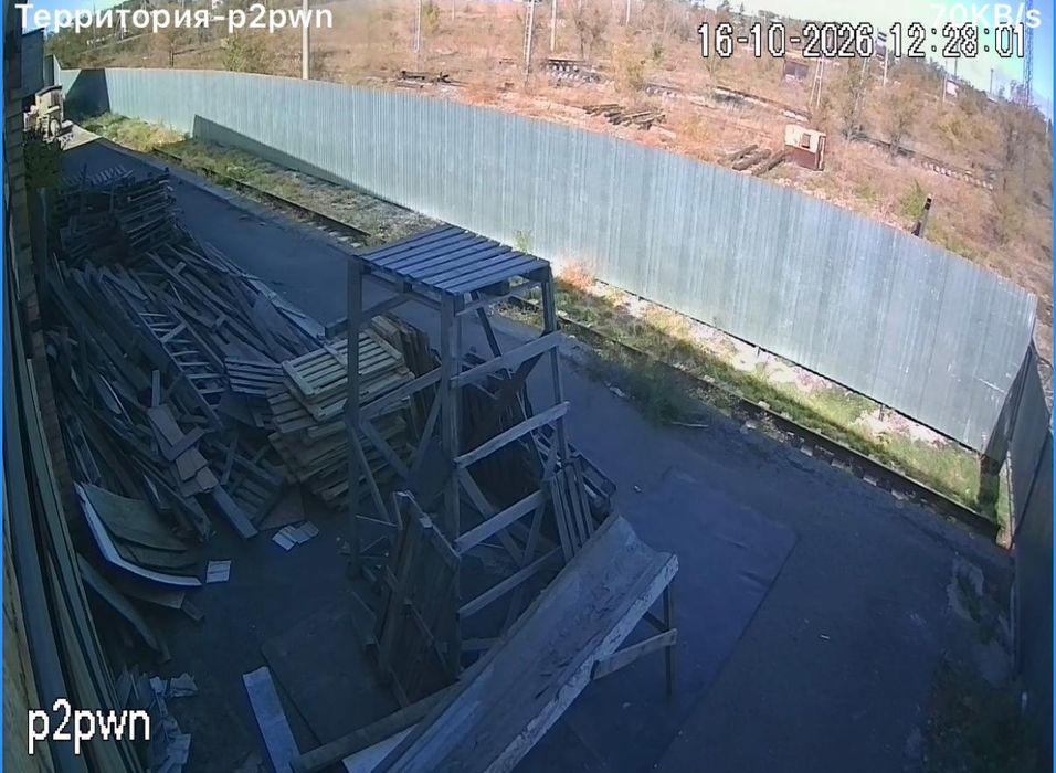 Отдам дерево бесплатно , без выборки