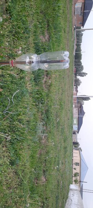 Село Шамалған , Ушқоныр участок под ижс