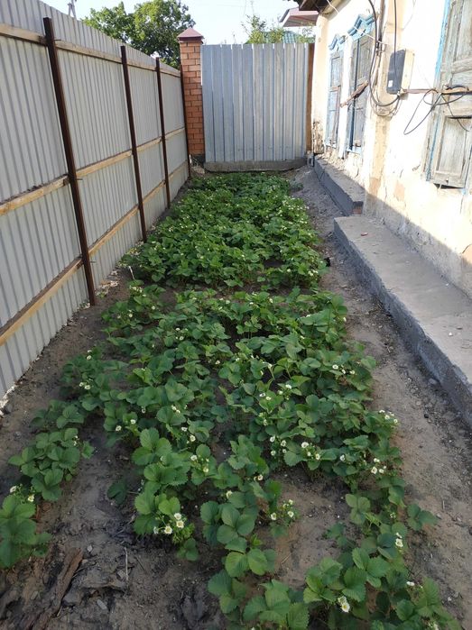 Продам участок с домом в центре