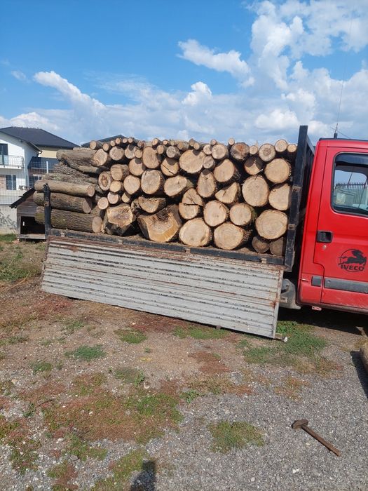 Lemn de foc esenta dorita de dvs