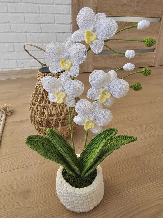 Плетени орхидеи...