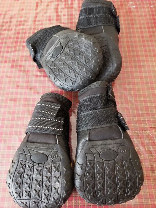 Продам обувь для собак