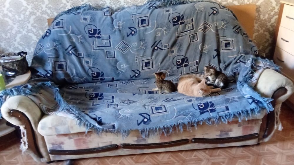 Отдам диван даром