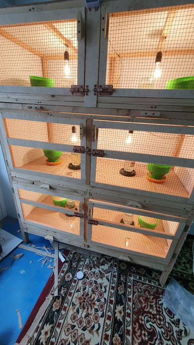 Barcha turdagi parrandalar uchun qafaslar sotiladi