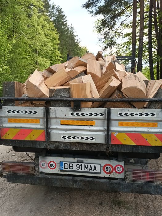 Lemne  pentru foc de fag