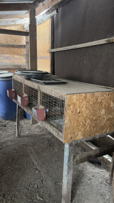 Клетки для Кроликов