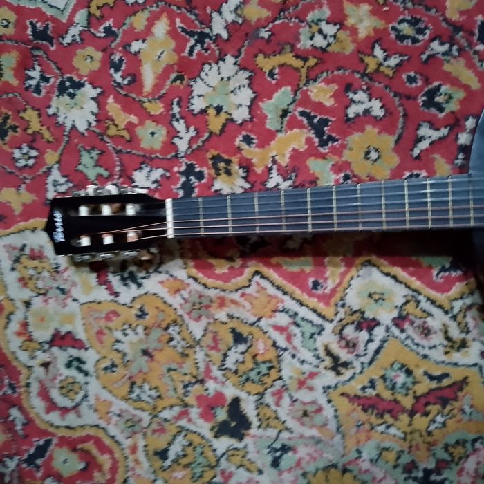 Продается Гитара Terris