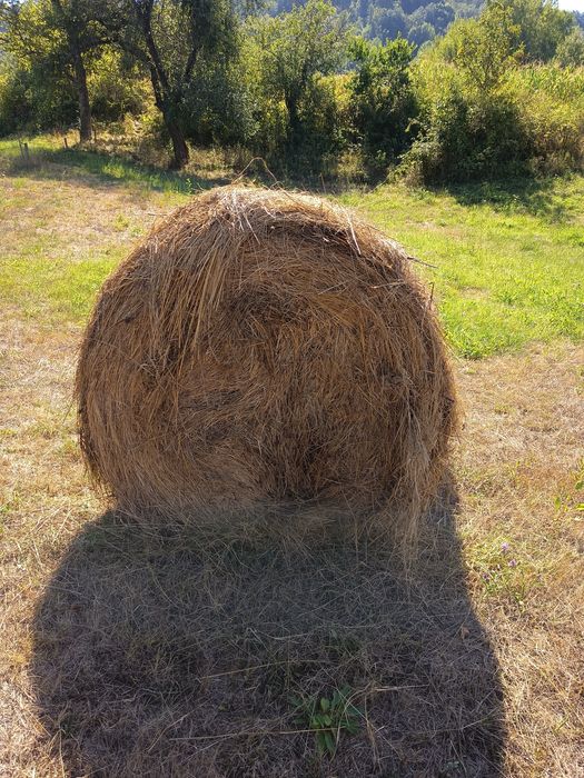 Baloți rotunzi de fân !