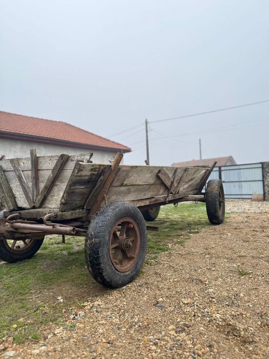 Vand caruta si ham cai