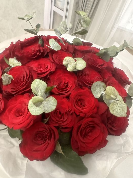 красные розы 31 штук