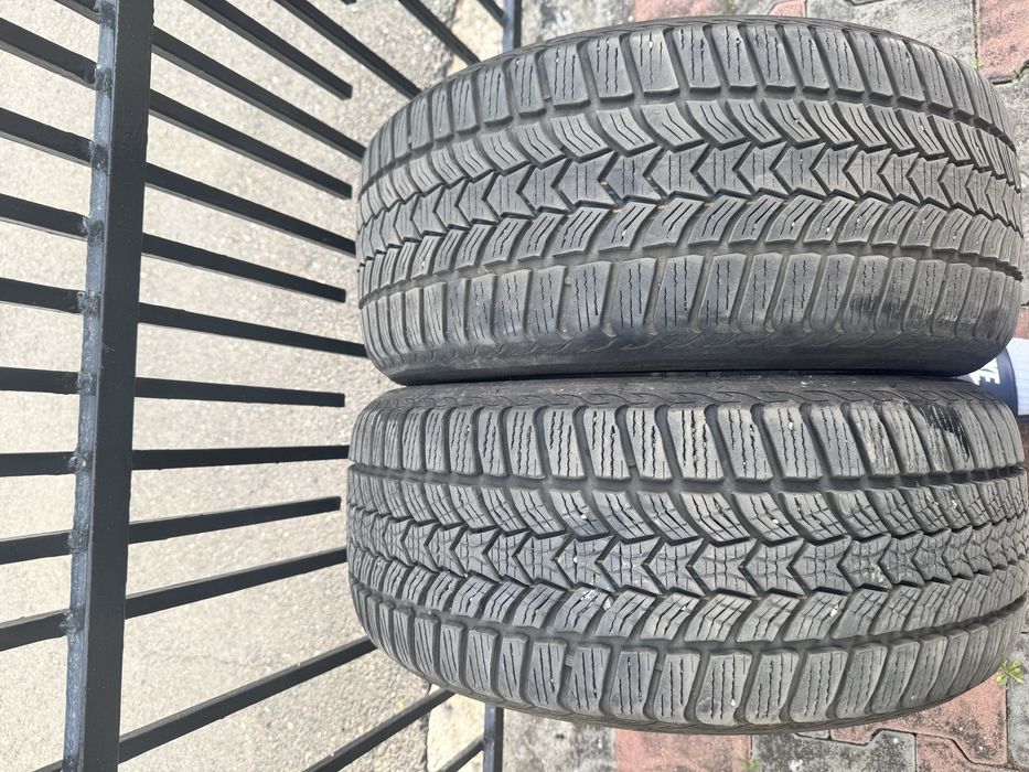 Cauciucuri Debica Iarna