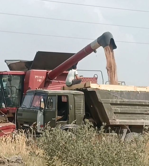 50.88 Sotiladi yili 2009