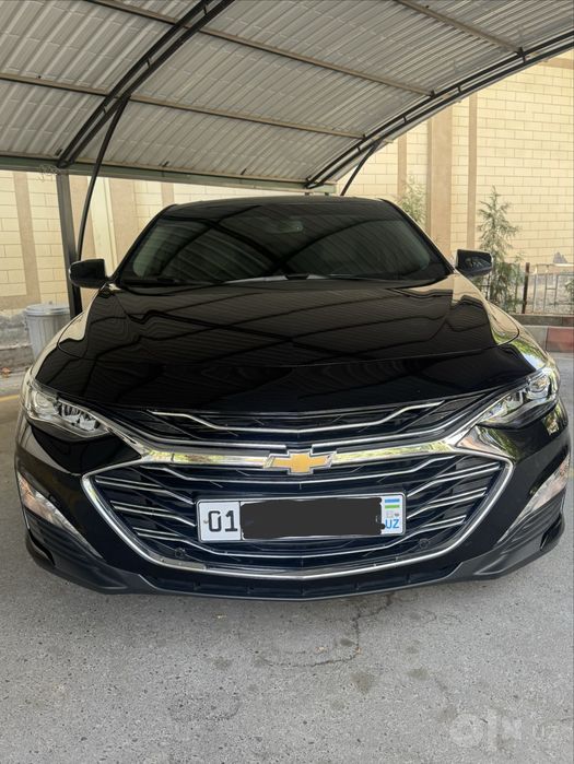 Malibu premer 2021