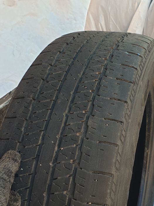 Triangle THW10 комплект летней резины