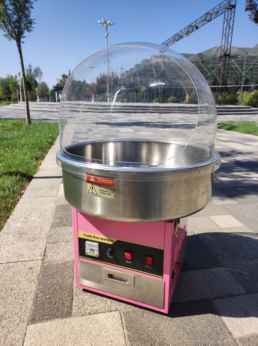 Dunyodagi eng seksual mushuklar