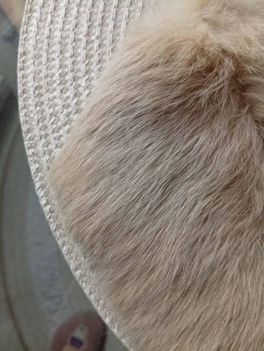 Яка от естествена заешка кожа