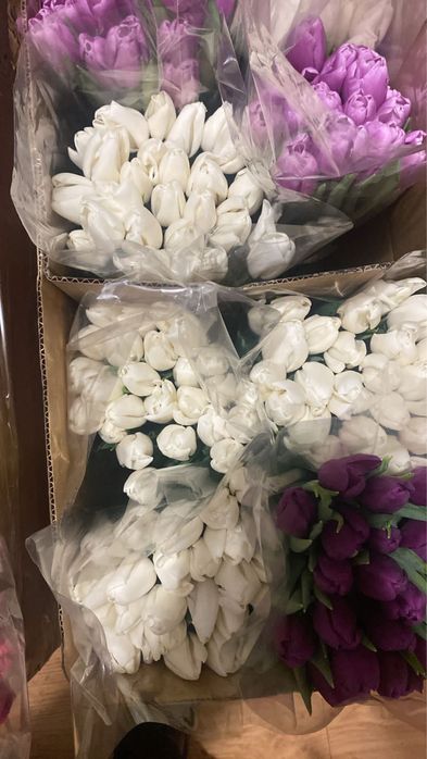 Тюльпаны с офомлением Астана