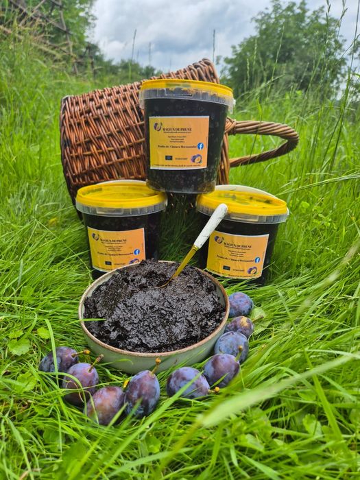 Magiun de PRUNE fara zahar