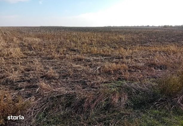 Teren extravilan, Loc Lehliu-Gara, Jud Calarasi
