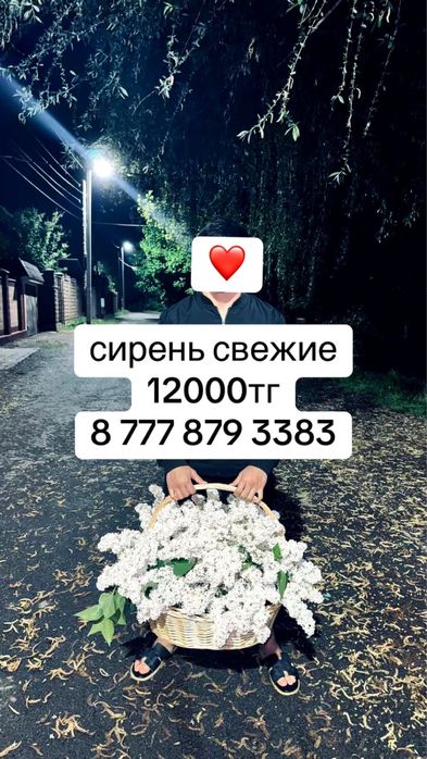 Цветы сирень продается