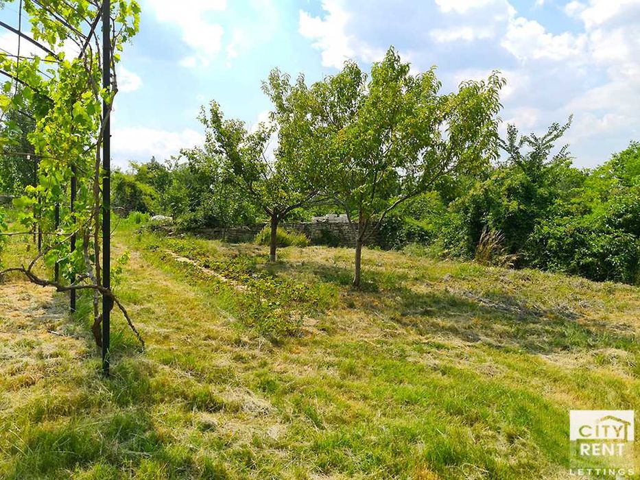 Дава се под наем Къща в с. Пушево, Област Велико Търново - 172 кв.м за 700 € - Снимка #22