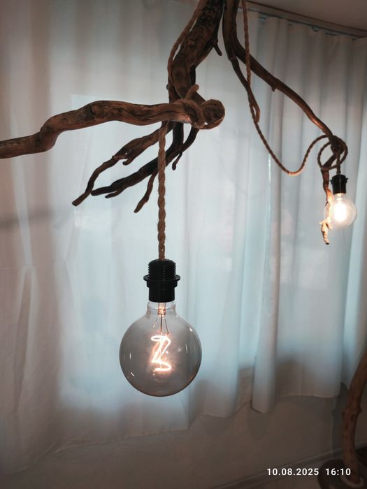 Полилей ,,Rootlight,,