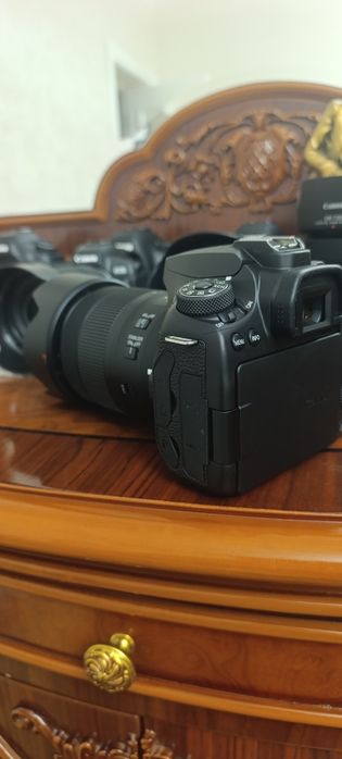 Canon EOS 90D + EF-S 18-135mm F3.5-5.6 IS Nano USM